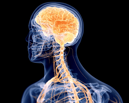 neurocirujano-especialista-en-columna-precio