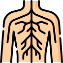 precio-neurocirujano-especialista-en-columna